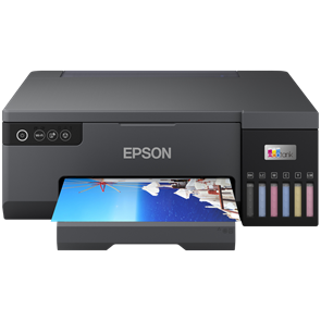 Принтер Epson L8050 3165