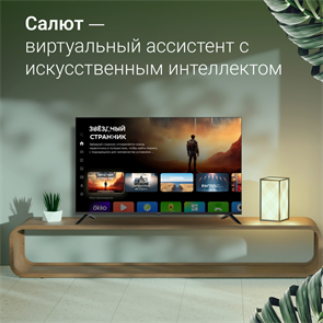 {{productViewItem.photos[photoViewList.activeNavIndex].Alt || productViewItem.photos[photoViewList.activeNavIndex].Description || 'ЖК телевизор Digma 55 DM-LED55UBB40'}}